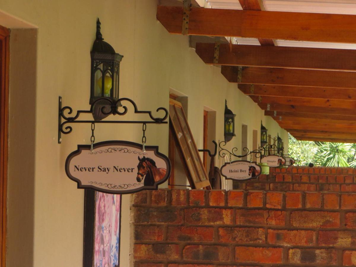 Lentelus Guesthouse George Bagian luar foto